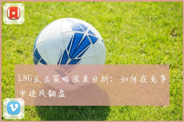 LNG反击策略深度分析：如何在竞争中逆风翻盘
