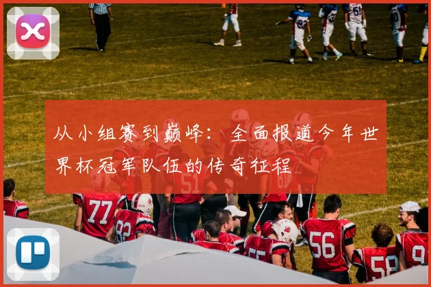 从小组赛到巅峰：全面报道今年世界杯冠军队伍的传奇征程